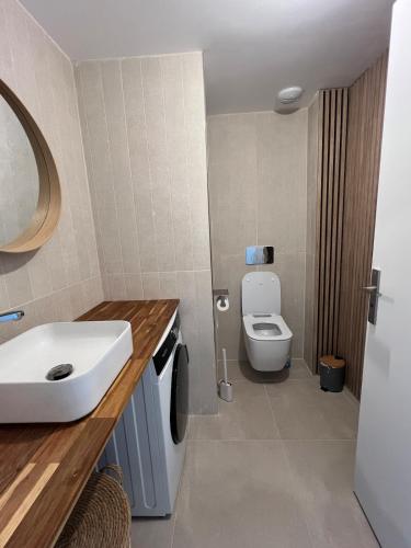 une salle de bain avec un lavabo et des toilettes dans l'établissement Villa Tilia, à Nîmes