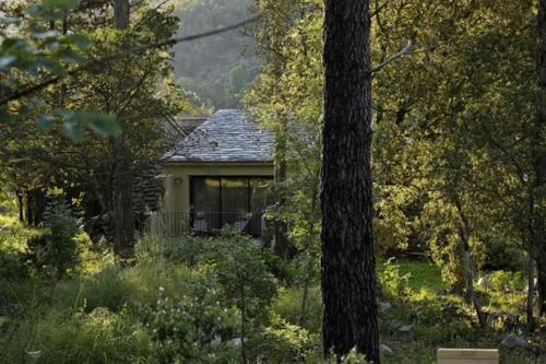 a house in the middle of a forest of trees at Hotel Restaurant & Spa E Caselle in Venaco