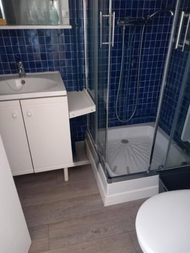 une salle de bain avec une douche, un lavabo et des toilettes dans l'établissement Votre cocon à 1km de la plage, à Camiers