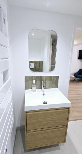 une salle de bain avec un lavabo et un miroir dans l'établissement Moulins Studio cœur de ville de Saint Dizier, à Saint-Dizier