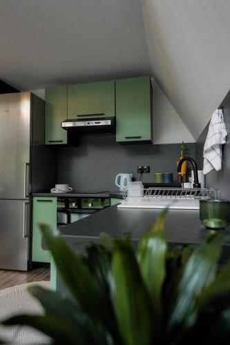a kitchen with green cabinets and a counter top at Unea House in Bihać