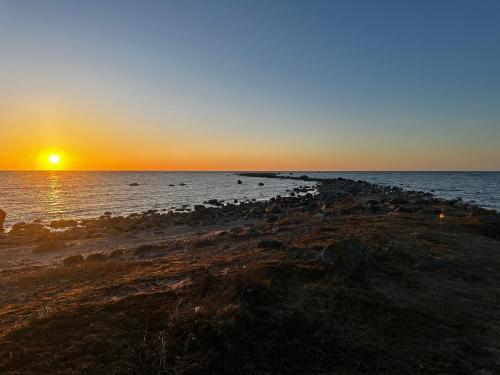 a sunset over the ocean with a group of birds at Reigi Holiday Home, Hiiumaa with Nordic HotTub & Sauna in Reigi