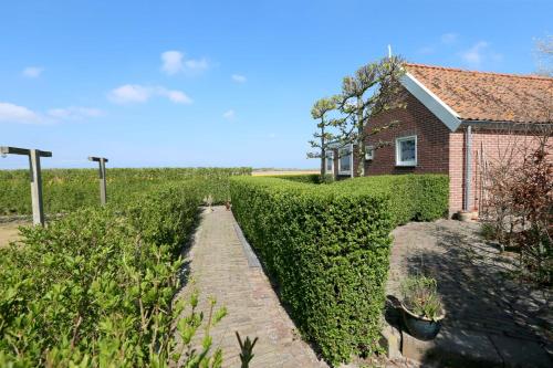 Κήπος έξω από το Bungalow Callantsoog