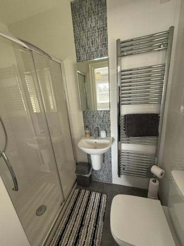 a bathroom with a shower and a sink and a toilet at The Clara, Ballycastle in Ballycastle
