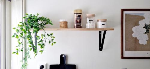 a shelf on a wall with a plant and a picture at Apartment in Tromsø, located between the Arctic Cathedral and The Cable Car in Tromsø
