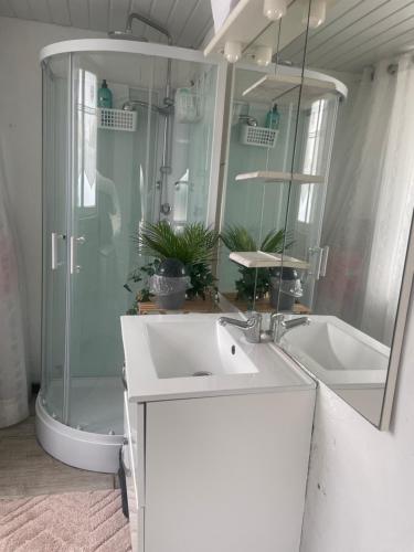 a bathroom with a sink and a shower and a mirror at Chambre julia lits séparés in Dieppe