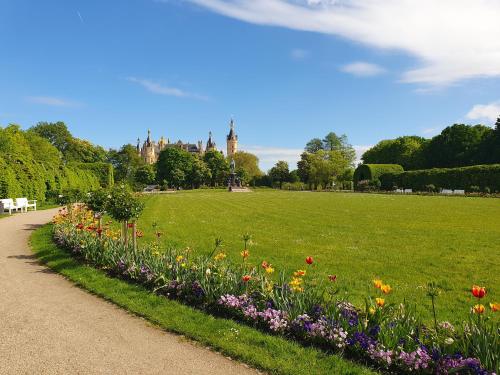 a park with a bunch of flowers in a field at Neumühler Hof- Gemütliche Wohnung "Lenia" Parkplätze und Kongresshalle in der Nähe in Schwerin