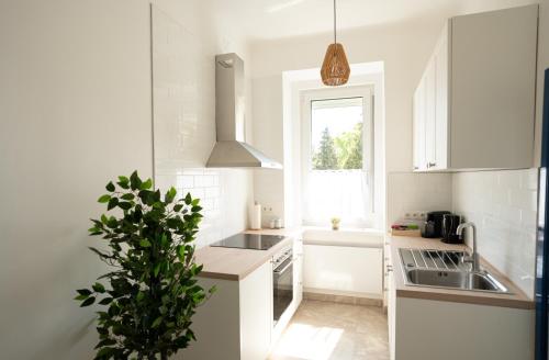 グラーツにあるJS Deluxe Apartmentの前景に鉢植えの植物がある白いキッチン