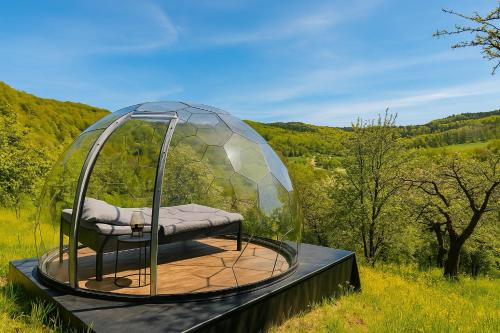 a glass dome with a bench in a field at Romantik pur - Schlafen unter dem Sternenhimmel in Ebersberg