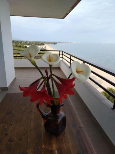 Mediterrani - Primera linea de mar