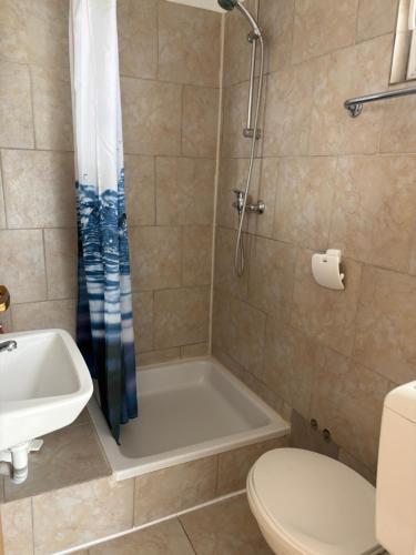 a bathroom with a shower and a toilet and a sink at Vila Kula in Nin