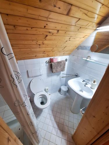 a bathroom with a white toilet and a sink at Statek Napořád in Předslavice