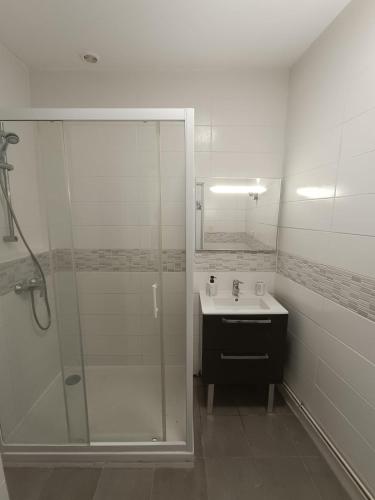 a bathroom with a glass shower and a sink at Cocon lumineux avec cour privée in Salses-le-Chateau