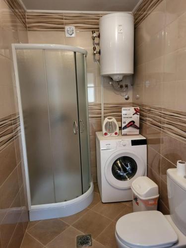 ein Badezimmer mit Toilette und Waschmaschine in der Unterkunft Apartman Djuric in Golubac
