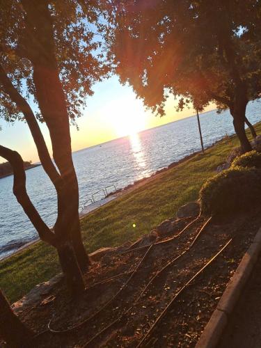 Studio apartman Zara