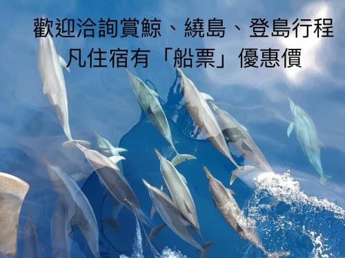 a group of dolphins swimming in the water at 宜蘭頭城A Happy Birthday 私人溫泉 海景 蘭陽夜景大陽台無邊際泳池 in Toucheng