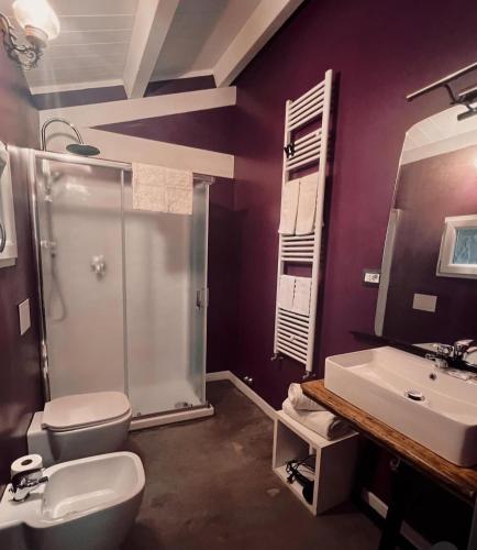 a bathroom with a shower and a toilet and a sink at Fuori Borgo in Campobasso