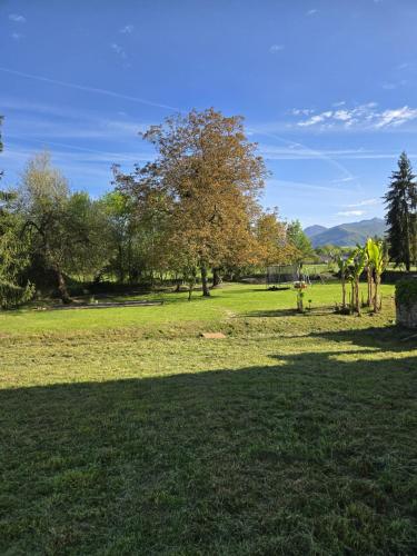 a park with trees and a field of grass at La Casa Mora Grande in Asson