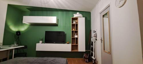 a bedroom with a green wall with a television at Charmant studio à Castres in Castres