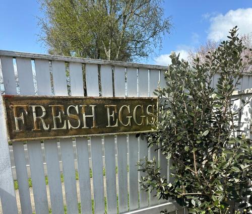 a sign on a fence that reads fresh eggs at The Hidden Gem in Cambridge - One to Two Bedroom Suite in Cambridge