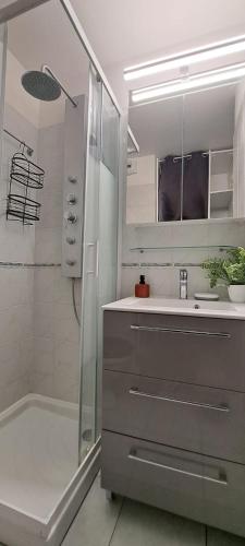 une salle de bain avec une douche, un lavabo et un miroir dans l'établissement superbe studio avec piscine, ascenseur et accès direct sur le port, au Cap d'Agde