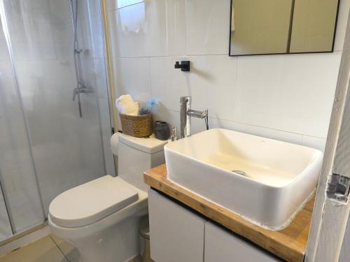 a white bathroom with a sink and a toilet at Coyhaique, CASA LAVANDA in Coihaique