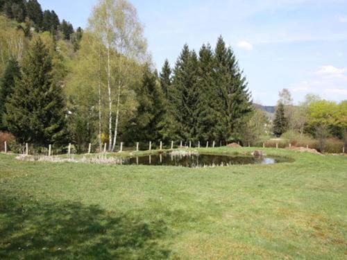 a field with a pond in a field with trees at Chalet in France with Pool & Jacuzzi in Le Ménil