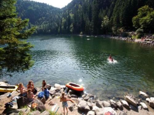 Gallery image of Apartment in France near Scenic Trails in Le Ménil