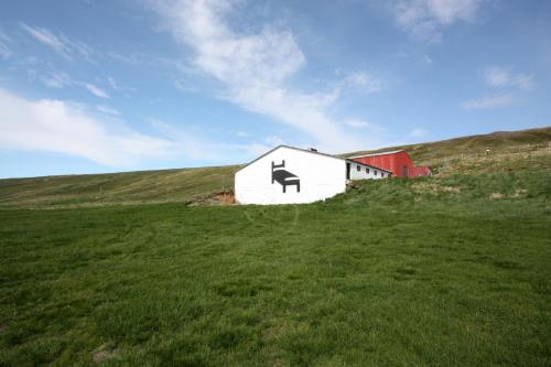 a white barn in a field of green grass at Guesthouse Storu-Laugar in Laugar