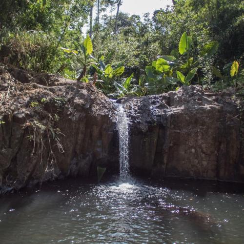 a waterfall in the middle of a pool of water at TUKI Nest Spacious Home with Garden View & Self-Service Breakfast - Large Porch, Subic Monkeys, Pet Friendly with a Fee in Santa Rita