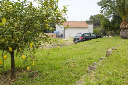 Cotoncello – Photos 3