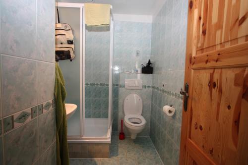 a small bathroom with a toilet and a shower at Guesthouse Storu-Laugar in Laugar