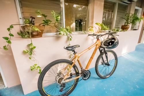 a bike parked next to a window with plants at OCEAN Nest with Self-Service Breakfast - AC, Monkeys, Pet-friendly with a Fee in Subic Bay Intl