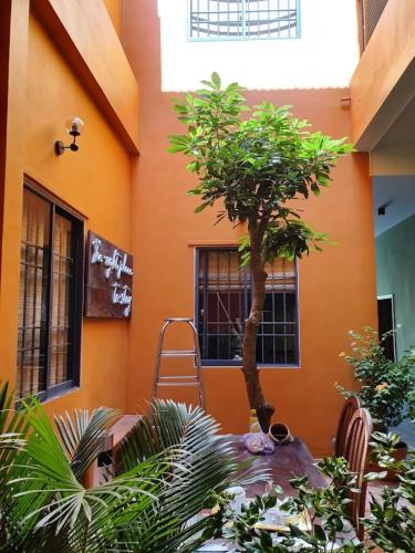 an orange building with a tree and a ladder at Chí Hiếu Homestay in Bạc Liêu
