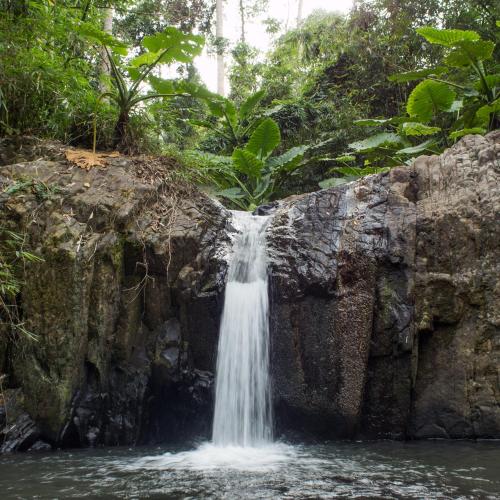 a waterfall on the side of a rock in the water at OCEAN Nest with Self-Service Breakfast - AC, Monkeys, Pet-friendly with a Fee in Subic Bay Intl
