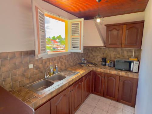 a kitchen with a sink and a window at T2 - 50m du bourg de Sainte-Anne in Sainte-Anne