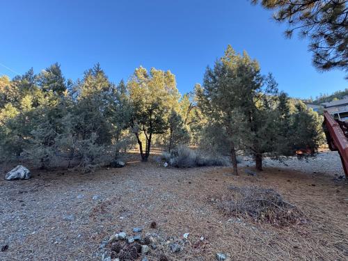 a group of trees and rocks in a field at Enjoy Privacy - Pine Mountain - Spacious Home in Pine Mountain Club