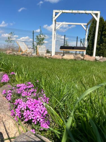 a park with pink flowers and a park bench at Samosiejka SPA Słońsko in Słońsko