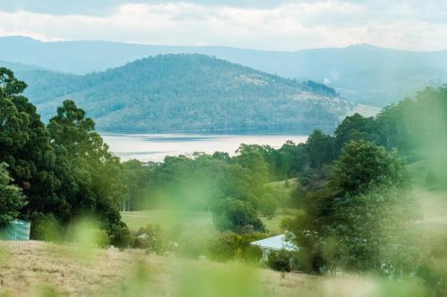Un paisaje natural cerca de la casa de huéspedes