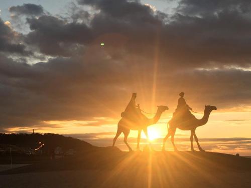 two people riding on camels in front of the sunset at 御宿ゲストハウス 海おやぶん in Onjuku