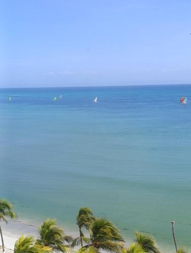 a view of a beach with palm trees and the ocean at Estudio con Increíble VISTA AL MAR de 1 a 4 huespedes in Porlamar