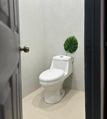 a bathroom with a toilet with a plant on it at Residencia Esmeralda in Agua Buena
