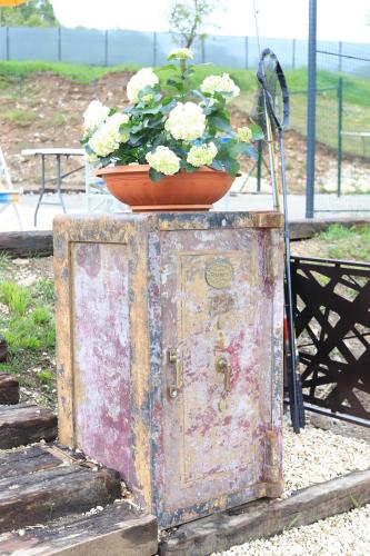 a flower pot on top of an old chest with a plant at PAMJA Guest House in Bărăşti