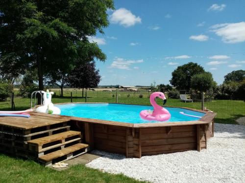 a swimming pool with a pink swan and a pink flamingo at Les Gîtes de la Roche Élie in Rom
