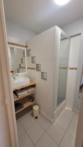 une salle de bain avec un lavabo et une douche dans l'établissement Le Clos des Oiseaux YourHostHelper, à Narbonne