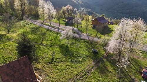 an aerial view of a field with trees and a house at Mountain View 2 in Foča