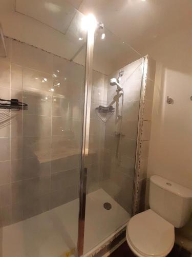 une salle de bain avec une douche en verre et des toilettes dans l'établissement La résidence du Lac - maeva Home - Maison 3 pièces 6 personnes - Sélection MAE-2151, à Monflanquin