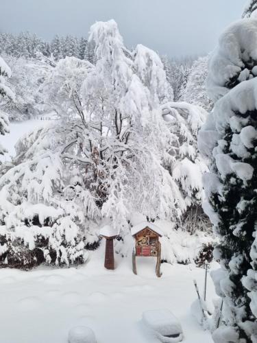 a snow covered garden with a bird house and trees at Gruber Alexandra in Sankt Michael im Lungau