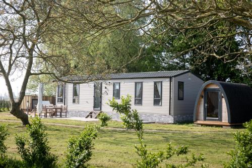 a tiny house in a field with a yard at Hof Nieuwerkerk Chalet 1 in Arnemuiden