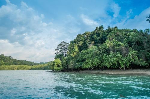 a small island in the middle of a body of water at Rainforest Nest - KAHILOM, SAYA, JIVA Nest with Self-Service Breakfast, Outdoor Dining, Bats! in Subic Bay Intl